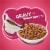 Friskies Gravy Swirlers with Chicken & Salmon Flavors Dry Cat Food Perspective: back