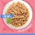 Purina Friskies Shreds with Salmon in Sauce Wet Cat Food Perspective: back