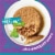 Purina Friskies Tasty Treasures Wet Cat Food Pate Turkey & Chicken Perspective: back