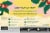 Starbucks® Mountain Blend Ground Coffee K-Cup Pods Perspective: back