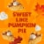 Coffee Mate Pumpkin Spice Coffee Creamer Perspective: back