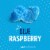 SUNNYD Blue Raspberry Juice Drink Perspective: back