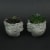 Set of 2 Pucker Up Concrete Head Kissing Face Mini Decorative Planter Pots 3.75 Inches Tall Perspective: back