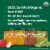 Beech-Nut Organics Stage 2 Baby Food Variety Pack, Fruit & Vegetable Perspective: back