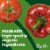 Pacific Foods™ Organic Roasted Red Pepper & Tomato Soup Perspective: back