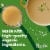 Pacific Foods® Organic Turkey Broth Perspective: back