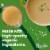 Pacific Foods™ Organic Turkey Broth Perspective: back