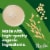 Pacific Foods® Original Organic Oat Milk Carton Perspective: back
