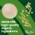 Pacific Foods® Original Organic Oat Milk Carton Perspective: back