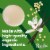 Pacific Foods Organic Vanilla Oat Milk Perspective: back