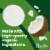 Pacific Foods™ Organic Original Sweetened Coconut Plant-Based Beverage Perspective: back