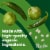 Pacific Foods® Organic Plant-Based White Bean Verde Chili Perspective: back