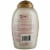 OGX® Kandee Pop Glam Hugs XO Ultra-Hydrating Shampoo Perspective: back