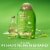 OGX Extra Strength Refreshing Scalp + Rosemary Mint Shampoo with Witch Hazel, Clarifying Wash Perspective: back