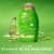 OGX Extra Strength Refreshing Scalp + Rosemary Mint Conditioner, Sulfate-Free Surfactants Perspective: back