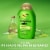 OGX Clarifying Strength + Rosemary Mint Conditioner, Sulfate-Free Surfactants Perspective: back