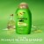 OGX Clarifying Strength + Rosemary Mint Conditioner Sulfate-Free Surfactants Perspective: back