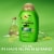 OGX Clarifying Strength + Rosemary Mint Shampoo, Visibly Helps Remove Oil, Sulfate-Free Surfactants Perspective: back