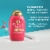 OGX Repair & Protect Bond Protein Repair Conditioner Perspective: back
