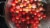 RSVP International Endurance® Precision Pierced Colander 5Qt Perspective: back