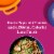 Ben's Original Ready Rice Cilantro Lime Flavored Family Size Rice, Easy Dinner Side, 17.3 oz Pouch Perspective: back