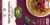 Nature's Path Organic® Gluten Free Buckwheat Wildberry Waffles Perspective: back