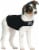 Zendog Large Calming Compression Shirt Perspective: back