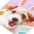 American Greetings Easter Card #60, Dog With Bunny Ears Perspective: back