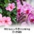 Air Wick® Plug in Scented Oil™ Refill Hibiscus and Blooming Orchids Air Freshener Essential Oils Perspective: back