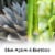 Air Wick Plug in Scented Oil Refill Blue Agave and Bamboo Air Freshener Essential Oils Perspective: back
