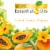 Air Wick Plug in Scented Oil Starter Kit Hawaii Air Freshener Essential Oils Perspective: back