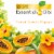 Air Wick Plug in Scented Oil Starter Kit Hawaii Air Freshener Essential Oils Perspective: back