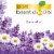 Air Wick Plug In Refill Lavender & Chamomile Scented Oil Air Freshener Perspective: back
