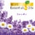 Air Wick Plug in Scented Oil Starter Kit Lavender and Chamomile Air Freshener Essential Oils Perspective: back