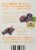 Twinings® Londin Immue Support+ Blackberry Flavored Tea Bags Perspective: back