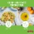 Pompeian White Wine Vinegar Perspective: back