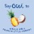 Oui by Yoplait Pina Colada Whole Milk French Style Yogurt Perspective: back