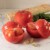 Hutzler Tomato Saver Perspective: back