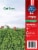 Pictsweet Farms® Family Size Frozen Cut Corn Perspective: back