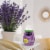 Renuzit® Lovely Lavender® Adjustable Gel Air Freshener Perspective: back