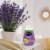 Renuzit® Lovely Lavender® Adjustable Gel Air Freshener Perspective: back