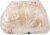 Old Tyme® 647 Italian Bread Perspective: back