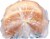 Old Tyme® Classic White Bread Perspective: back