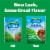 Hidden Valley Original Ranch Salad Dressing and Seasoning Mix Packet Perspective: back