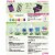 PAAS® Easter Neon Egg Decorating Kit Perspective: back