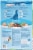 Rachael Ray Nutrish Big Life Savory Chicken Veggie & Barley Dry Adult Dog Food Perspective: back