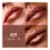 L'Oreal Paris Colour Riche Original Satin Lipstick 825 Bronzine Perspective: back