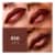 L'Oreal Paris Colour Riche Original Satin Lipstick 860 Spice Perspective: back