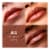L'Oreal Paris Colour Riche Original Satin Lipstick 815 Ginger Spice Perspective: back