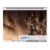 L'Oreal Paris Colorista Bleach Ombre Perspective: back